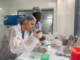 cigass-parma-hub-genotypage-des-microsatellites-Samaly-SVIGEL-Aita-SENE