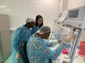 cigass-parma-hub-guinee-04