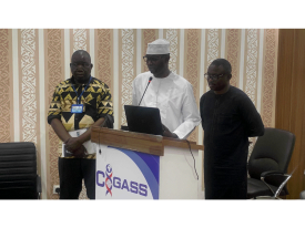 cigass-parma-hub-niger-02